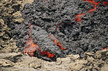 Advancing Aa lava flow slowly covering older weathered flow, Cape Hammond, Fernandina Island, Galapagos Islands, Ecuador