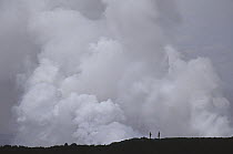 Overlooking steam plume from lava flow entering sea along steep shoreline, Cape Hammond, Fernandina Island, Galapagos Islands, Ecuador