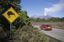 Department of Conservation places warning road signs in an effort to minimize road kills of endangered national bird, Tongariro National Park, New Zealand