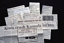 New Zealanders referring to themselves as Kiwis in their newspaper headlines, New Zealand