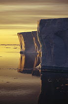 Sunrise over tabular icebergs, Antarctica Peninsula, Antarctica