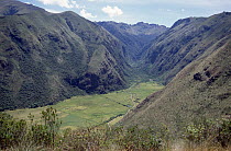 Eastern Andes, the site of Condor Huasi Project, lower canyons of Cayambe Volcano, Hacienda Zuleta, Ecuador