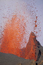 Volcanic eruption, spatter cone formation and lava fountain from eruptive vent along radial fissure on flack of shield volcano, February 1995, Fernandina Island, Galapagos Islands, Ecuador