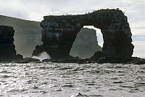 Eroded volcanic tufa arch, world class dive site, Darwin Island, Galapagos Islands, Ecuador