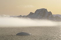 Fog bank hugging foot of icy mountains, Gerlache Strait, Antarctic Peninsula, Antarctica