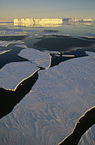 Tabular icebergs among fast ice breaking out in summer, Prince Olav Coast, East Antarctica