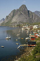 Norwegian fjord, traditional fishing village nestled amid granite peaks, Reine, Lofoten Island, Norway