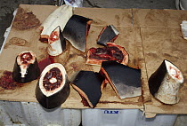 Harbor Porpoise (Phocoena phocoena) meat for sale at modern Inuit market, Nuuk, Greenland