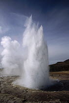 Steam spews from erupting geysers, geyser geothermal field, Iceland