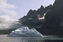 Ice floe in southern Greenland Fjord, late summer, Prins Christian Sound, Greenland