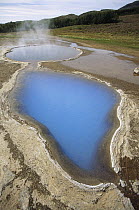Geothermal activity, steaming mineral hot springs shaped like the Americas, Geyser Thermal Field, Iceland