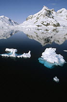 Ice floe and mountains, Paradise Bay, Antarctic Peninsula, Antarctica