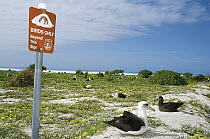 Sign posted 'Birds Only Beyond This Point', Midway Atoll, Hawaii
