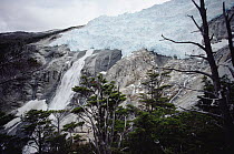Romanche Glacier tumbling into Beagle Creek, Patagonia, Chile