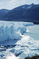 Perito Moreno Glacier actively advancing into Lake Argentina, Los Glaciares National Park, Argentina