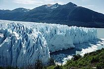 Perito Moreno Glacier actively advancing into Lake Argentina, Los Glaciares National Park, Argentina