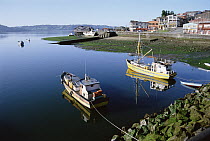 Castro waterfront at low tide, Chiloe Island, Chile