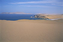 The rainless coast of the Atacama Desert is bordered by rich Humboldt Current upwelling, Paracas National Reserve, Peru