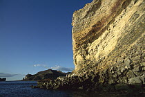 Intricate sedimentary layering, San Esteban Island, Sea of Cortez, Baja California, Mexico