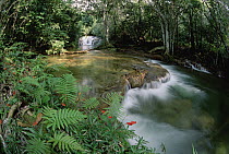 Mato Grosso, limestone springs and waterfalls, Betione, Serra de Bodoquena, Brazil
