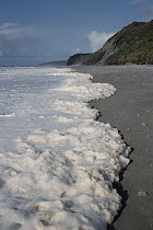 Sea foam along storm-lashed west coast, the roaring forties working over the Tasman Sea, Kahurangi, Westhaven Coast, South Island, New Zealand