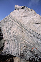 Geologic folding, Digges Island, Hudson Bay, Canada