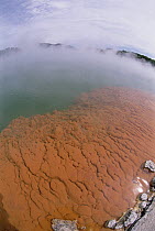 Volcanic lake, champagne pool, constant 74 degrees Celsius, carbon dioxide fizz, minerals include gold, silver, mercury, sulfur, arsenic, thallium and antimony, Champagne Pool, Waiotapu, Rotorua, New...