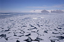 Sea ice break-up, aerial view, Transantarctic Mountains, New Harbour, McMurdo Sound, Ross Sea, Antarctica