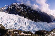Fox Glacier, Westland National Park, South Island, New Zealand
