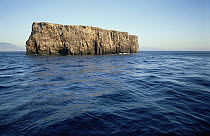 The chilly waters around Roca Redonda in Galapagos are caused by upwelling currents from the ocean's depths, Ecuador