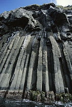 Columnar joining in basalt formation, Smoothwater Bay, Campbell Island, New Zealand
