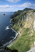 Col-azimuth Saddle, complex geologic layering along storm lashed western coast, 200 meter high cliffs, Campbell Island, New Zealand