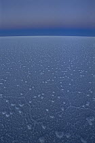 Hexagonal crystallization fissures in 100 kilometer wide, 500 kilometers thick and 12,000 year old Salar de Uyuni salt pan, Potosi District, Bolivia