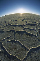 Hexagonal crystallization fissures in 100 kilometer wide, 500 kilometers thick and 12,000 year old Salar de Uyuni salt pan, altiplano, Potosi District, Bolivia