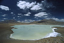 Laguna Canapa, Potosi District, altiplano, Bolivia