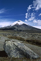 Cotopaxi Volcano rising 4,897 meters above Andean Plateau, dormant for two centuries but increased temperatures and fumaroles suggest renewed activity, Ecuador