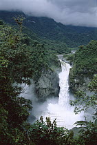 San Rafael Falls on the Coca River squeezes through a lava canyon in wet temperate rainforest, Ecuador