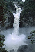San Rafael Falls on the Coca River squeezes through a lava canyon in wet temperate rainforest, Ecuador