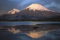 Parincota, elevation 6,232 meters, Lauca National Park, Andes Mountains, Chile