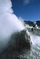 Geysers in extensive geothermal field in Andean foothills, Atacama Desert, Andes Mountains, Chile