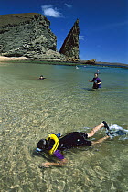 Visitors snorkeling in clear waters beneath Pinnacle Rock, Bartolome Island, Galapagos Islands, Ecuador