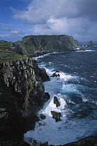 Southwest promontory and adjacent sea stacks, Snares Islands, New Zealand