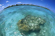 Palmyra Atoll, a wet, equatorial atoll with fringing reefs, native forests and abundant seabirds, Palmyra Atoll National Wildlife Refuge, US Line Islands