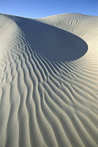 Wind patterns in sand dunes, Magdalena Island, Pacific coast, Baja California, Mexico