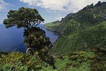 The Glenn, site of the early meterological station on the east coast of Gough Island, South Atlantic