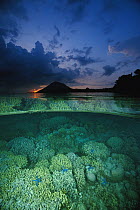 Above and below water view of a garden of hard corals just beneath the water's surface and sunset at Bunaken Island, North Sulawesi, Indonesia
