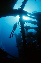 Diver exploring the Liberty shipwreck, Bali's most popular dive site, Tulamben, Bali, Indonesia