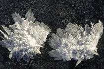 Ice crystals on frozen creek, Wrangell-St Elias National Park, Alaska