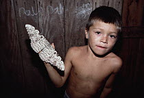 Moth (Thysania agrippina) held by boy, South America