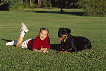 Rottweiler (Canis familiaris) resting on grass with a young girl
